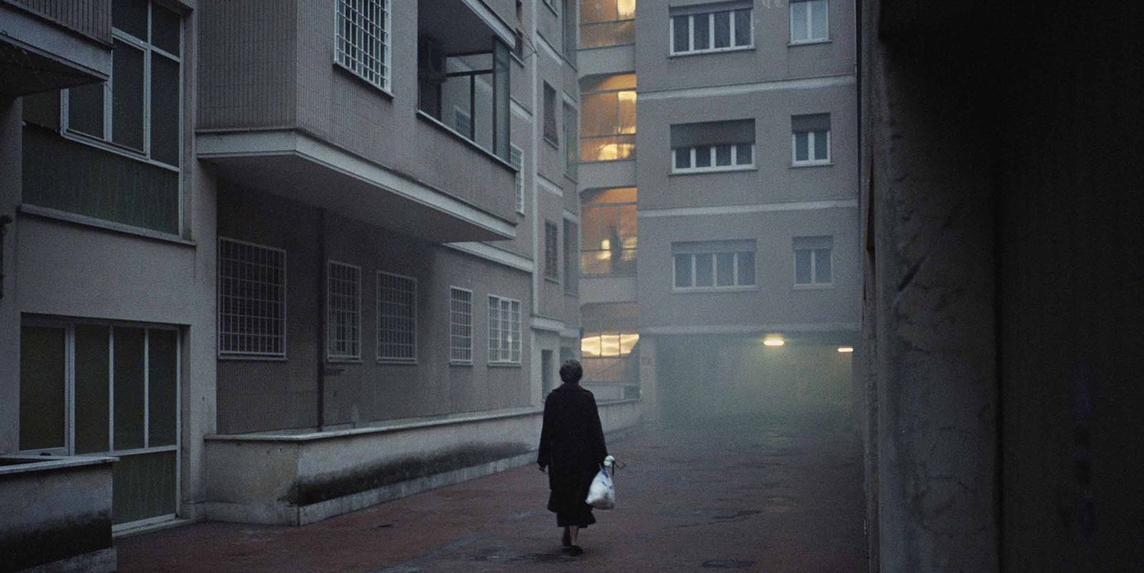 2736871.jpg-r_1920_1080-f_jpg-q_x-xxyxx