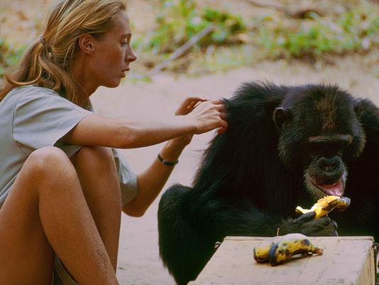 636445335992804011-Jane-s-02-0