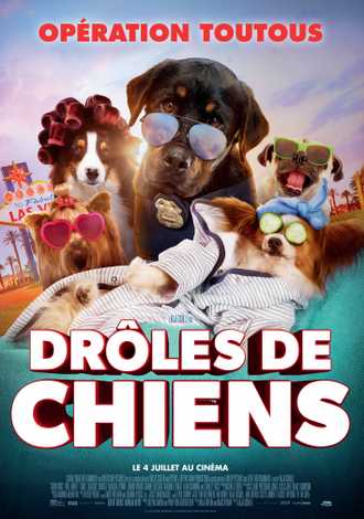 droles-de-chiens.20180704111301