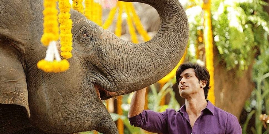 Vidyut_Jammwal_YouTube.jpg