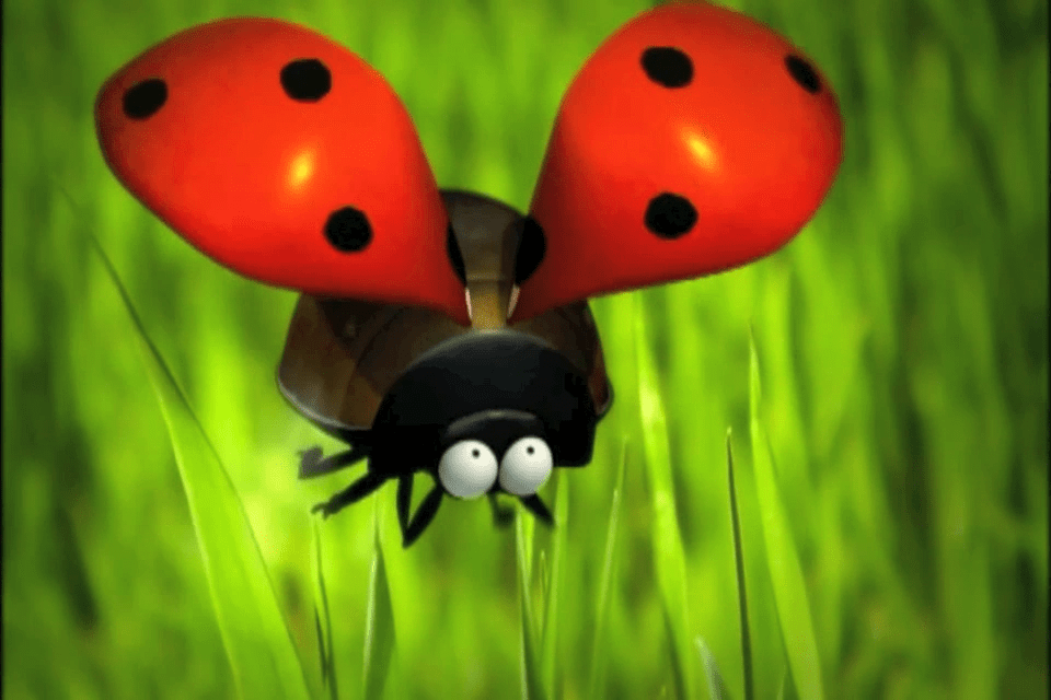 p-238_6-minuscule--la-vie-privee-des-insectes---le-jeu-qui-buzzz