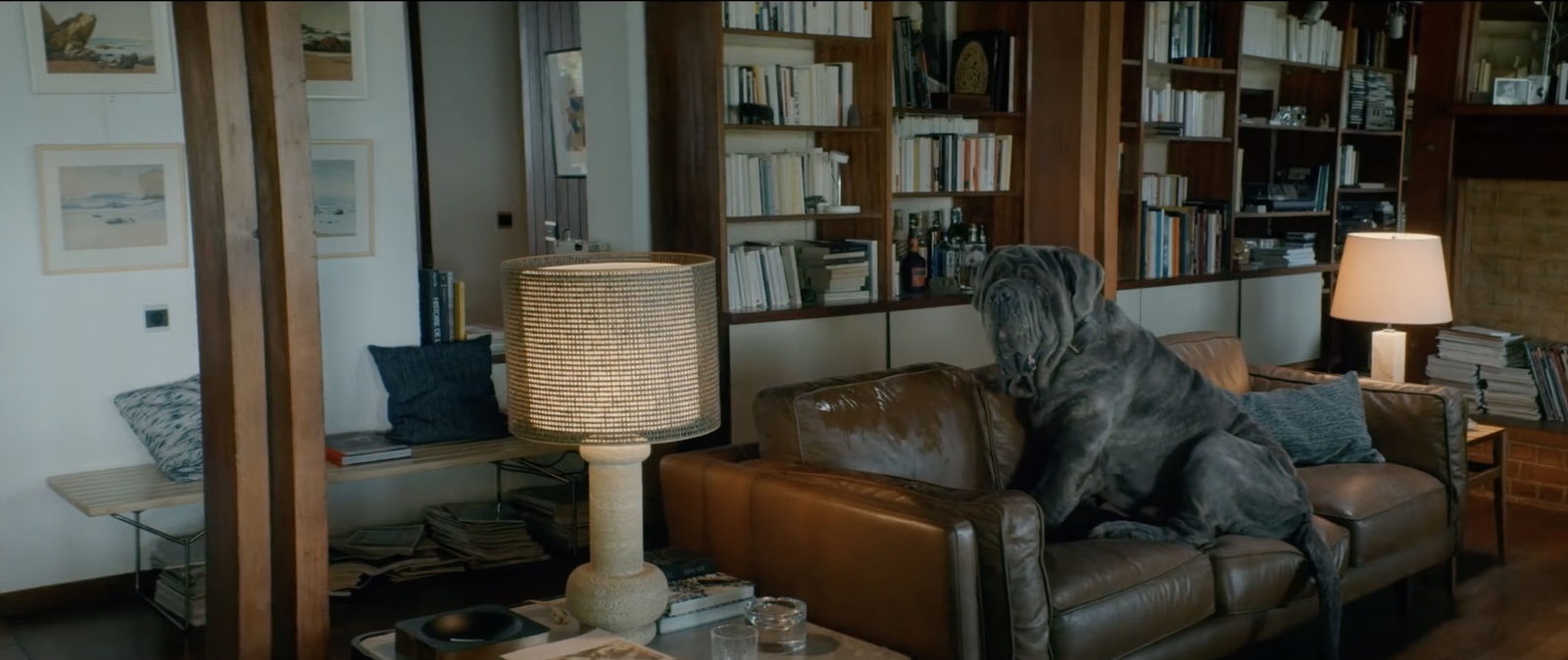 ob-ce6201-sans-titre