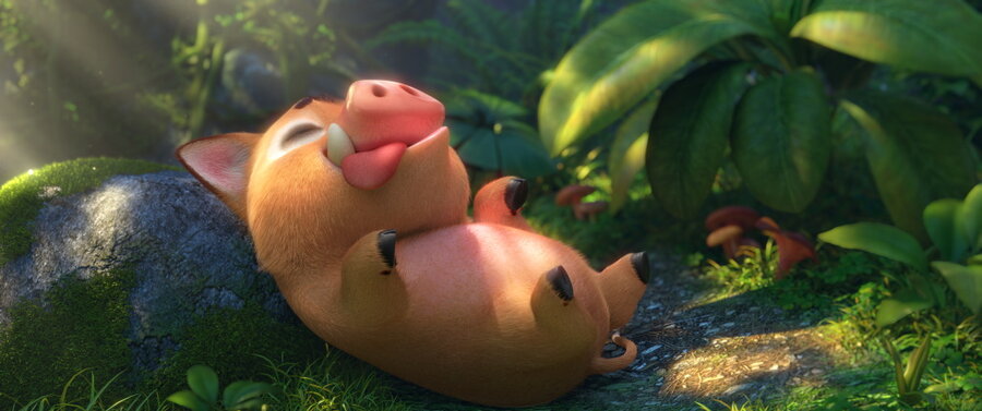 5f175f99185ddBOONIES-Bild-web-04