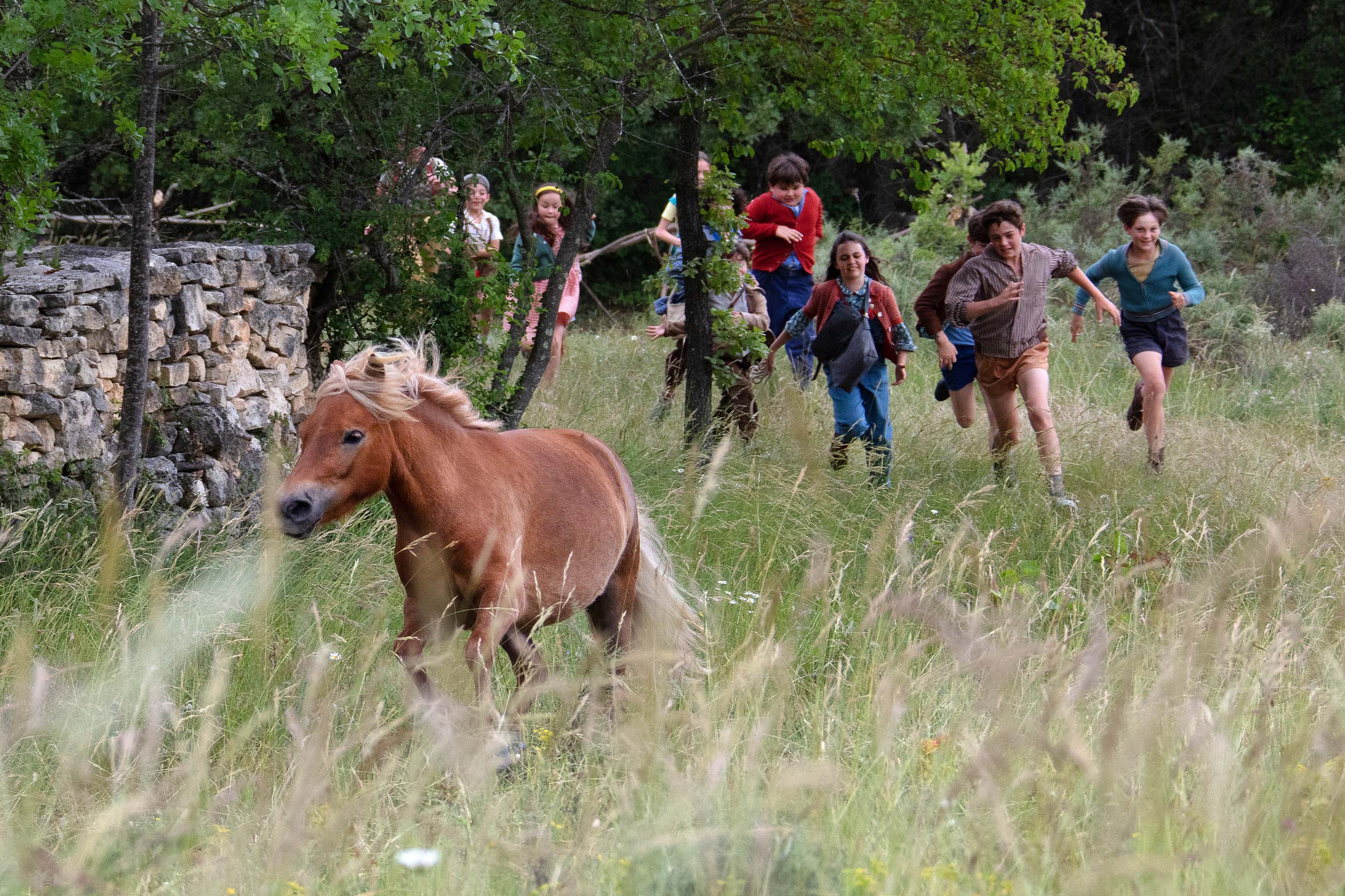 WvHvF0TaE3Szl3y_nCmizBGQJl8