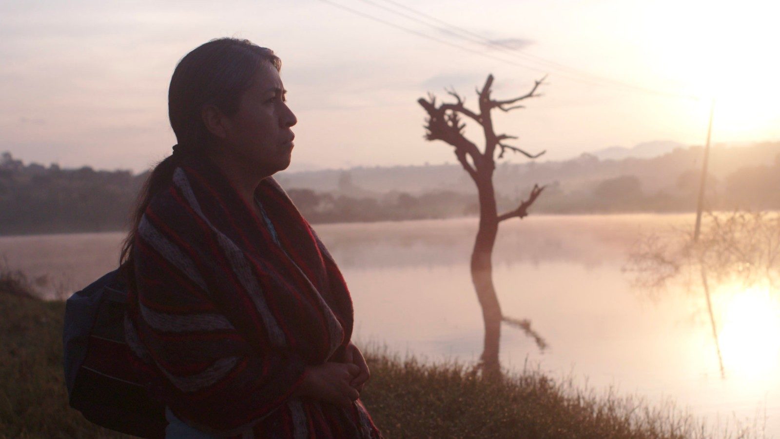 NDNF_IdentifyingFeature_02-1-1600x900-c-default