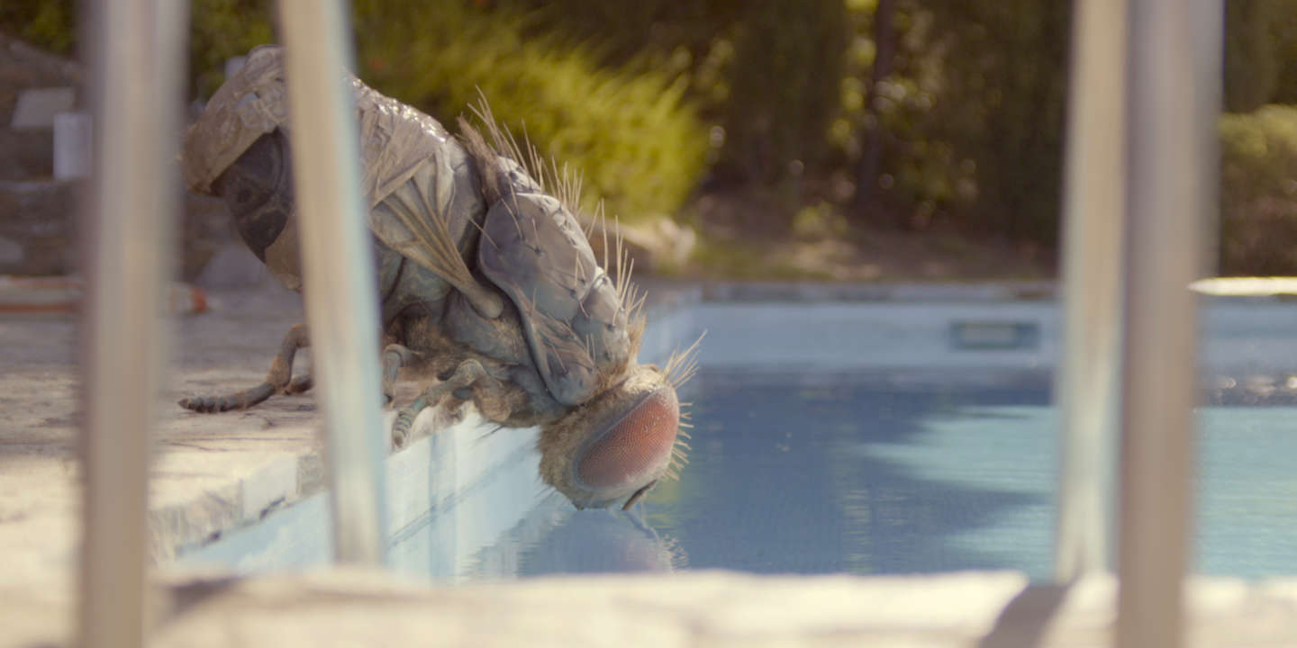 0a90d26_472175166-03-mandibules-04-mouche-piscine-memento-films-distribution