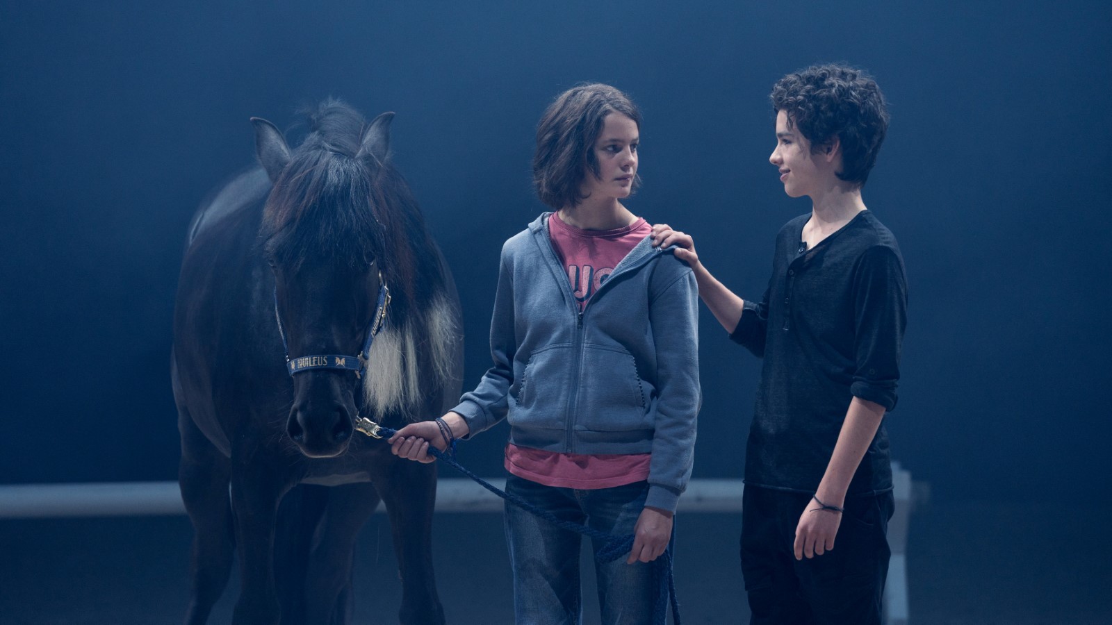 1301309.jpg-r_1920_1080-f_jpg-q_x-xxyxx