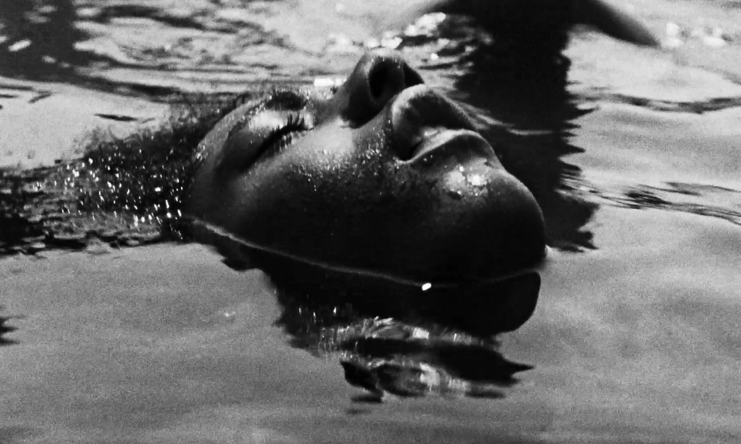 Malik+Swimming+-+Jabari+Watkins+(Malik)+-+Lasse+Tolbøll+(Cinematographer)