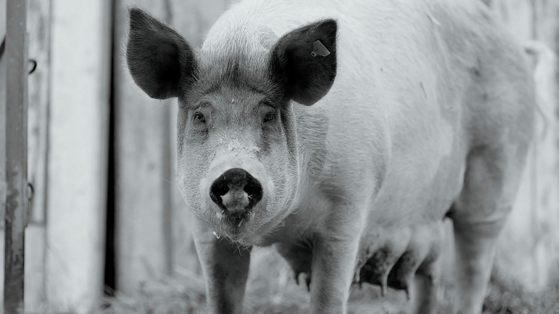 2ec7221c-139a-4a6d-a2f8-74088bcd3875