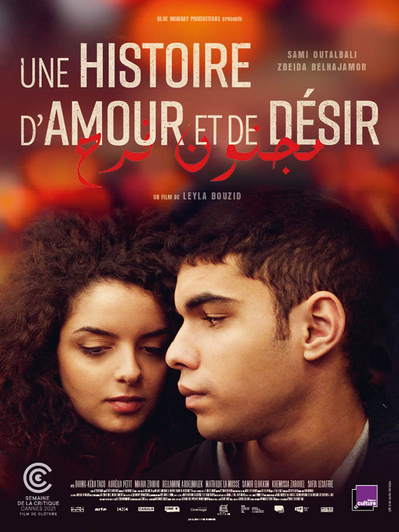 histoire_d-amour_et_de_desir_affiche