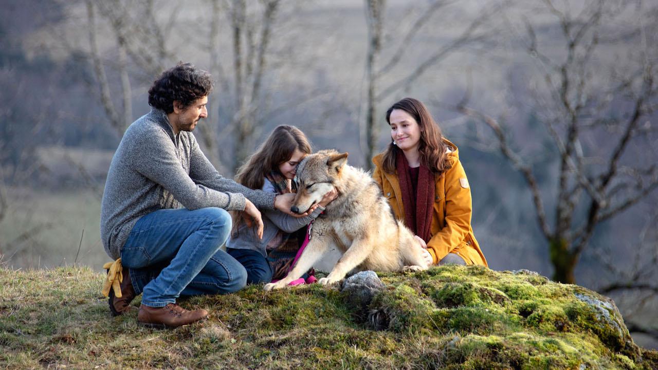 0056550.jpg-r_1920_1080-f_jpg-q_x-xxyxx