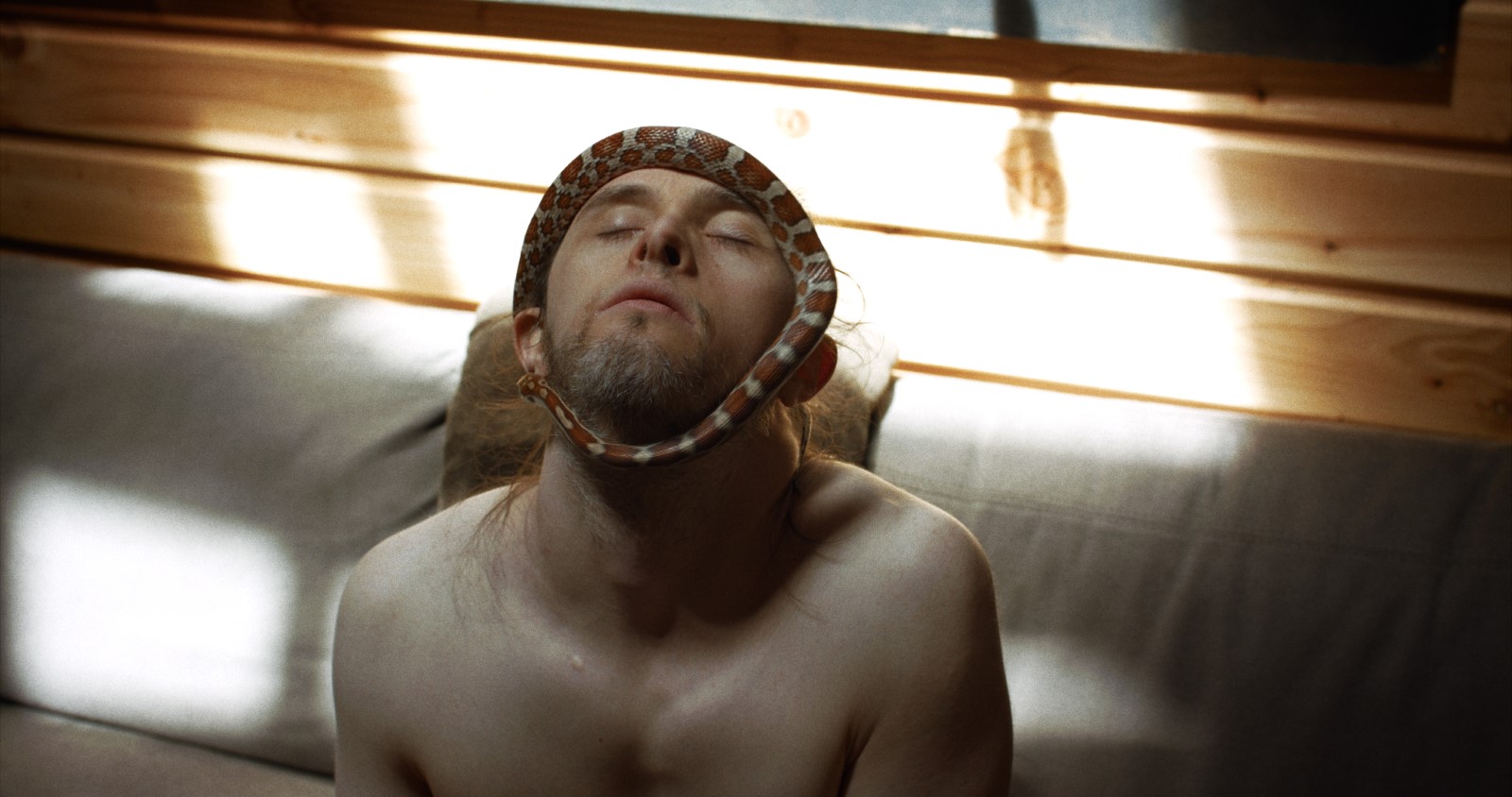 4359319.jpg-r_1920_1080-f_jpg-q_x-xxyxx