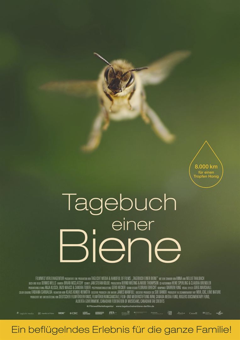tagebuch-einer-biene-poster-d3fd4