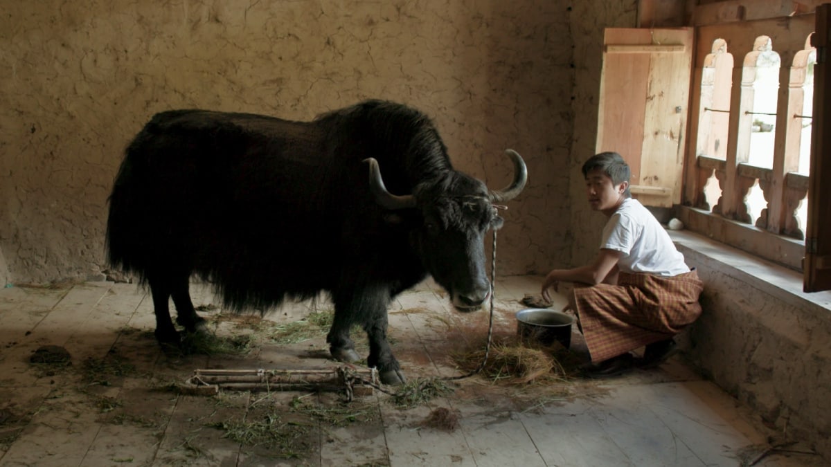 lunana_rec709_0107431-1