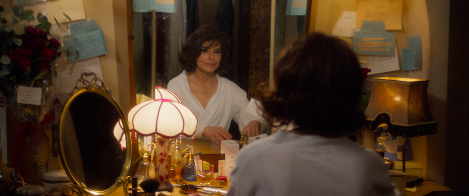 les-volets-verts-ardant