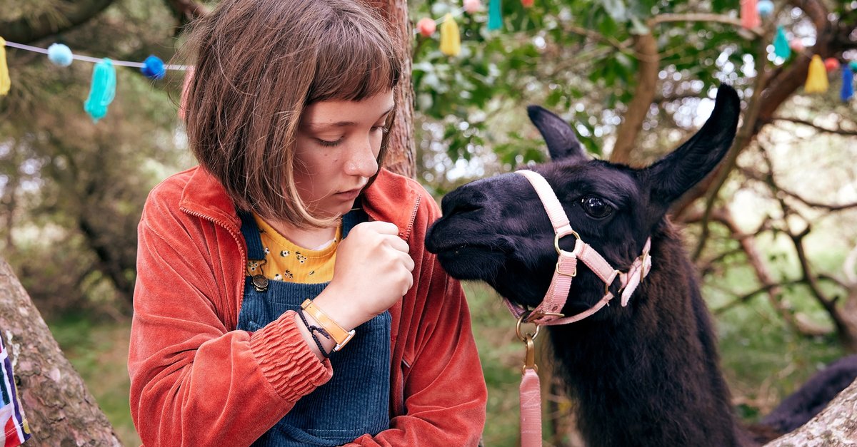 mein-lotta-leben-alles-tschaka-mit-alpaka-2022-fil-106-rcm1200x627u