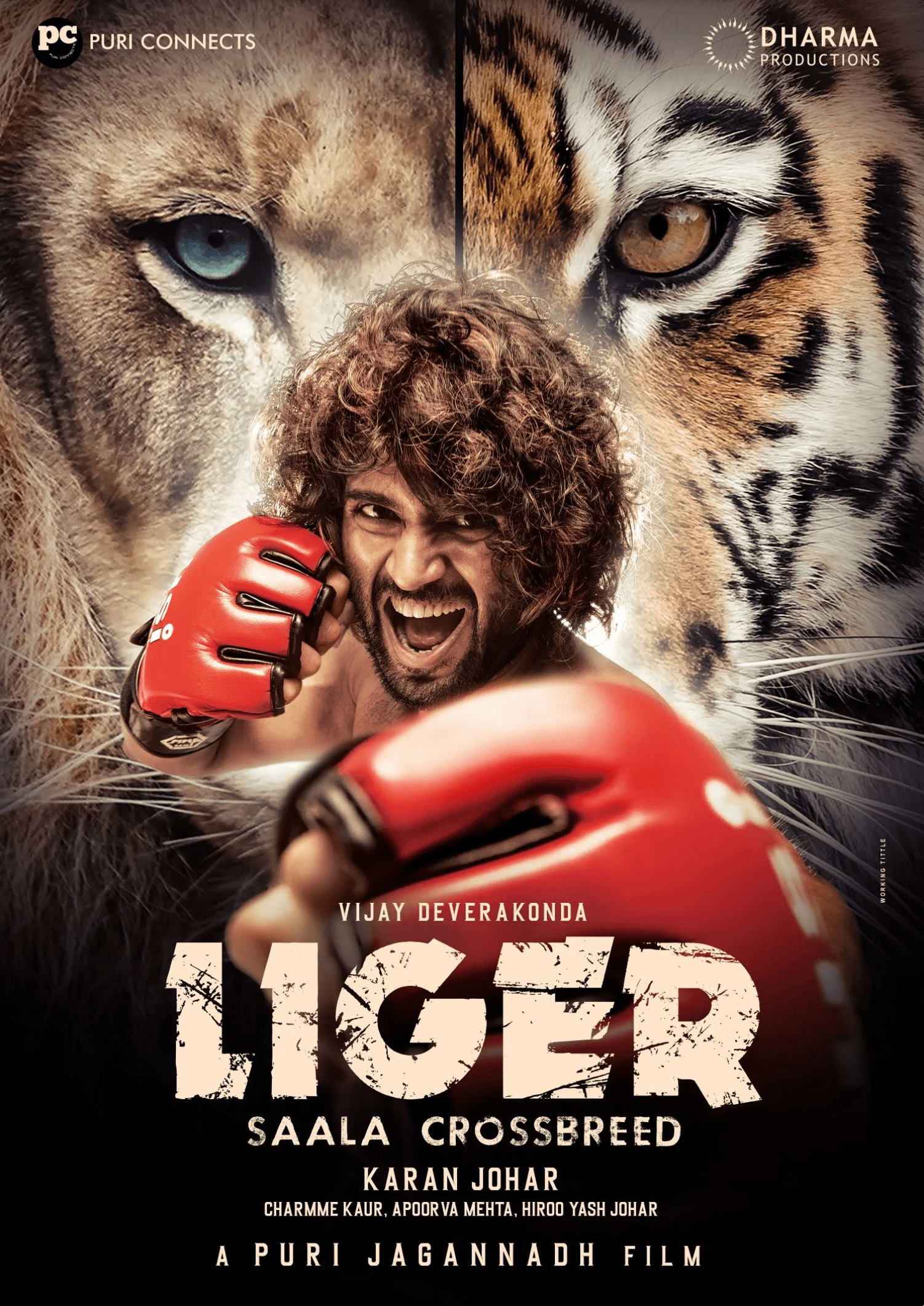 Screenshot 2022-08-22 at 08.55.13