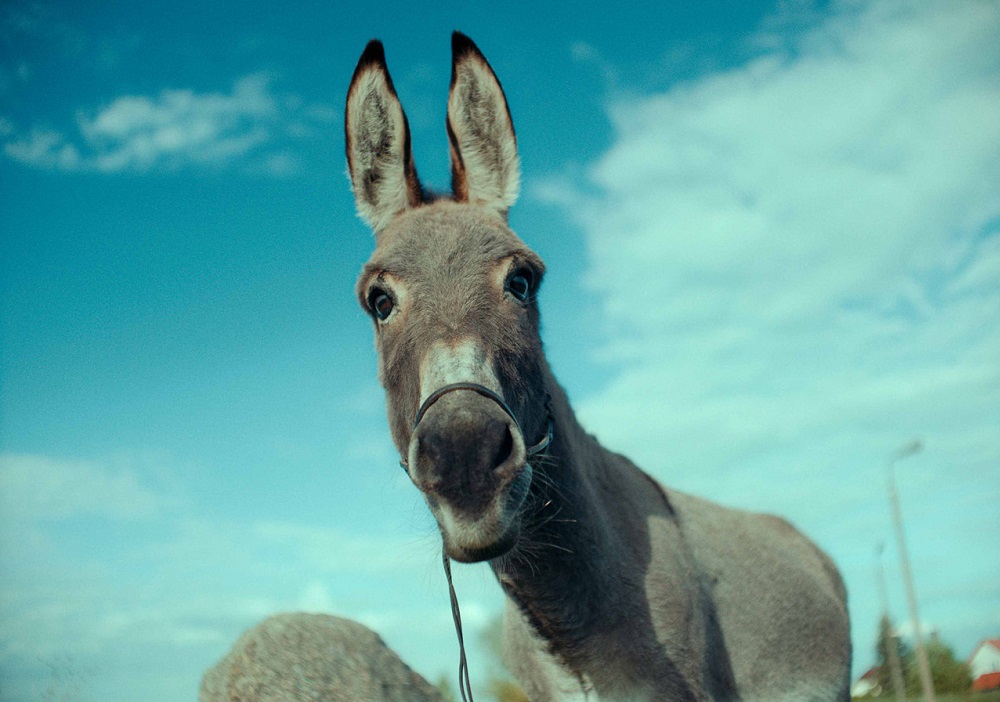 1661961176246_1000x0702_0x0x0x0_1661961187417