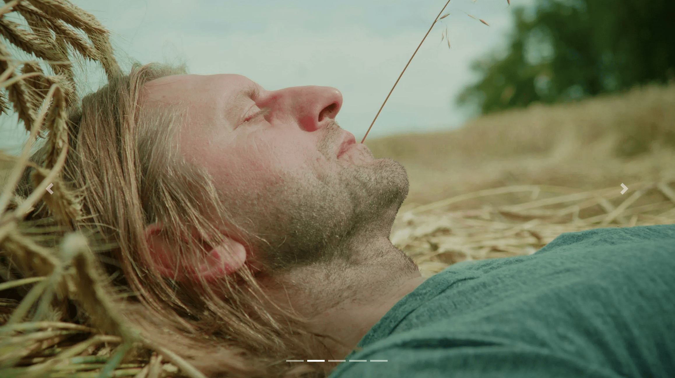 Screenshot 2023-02-27 at 08.50.02