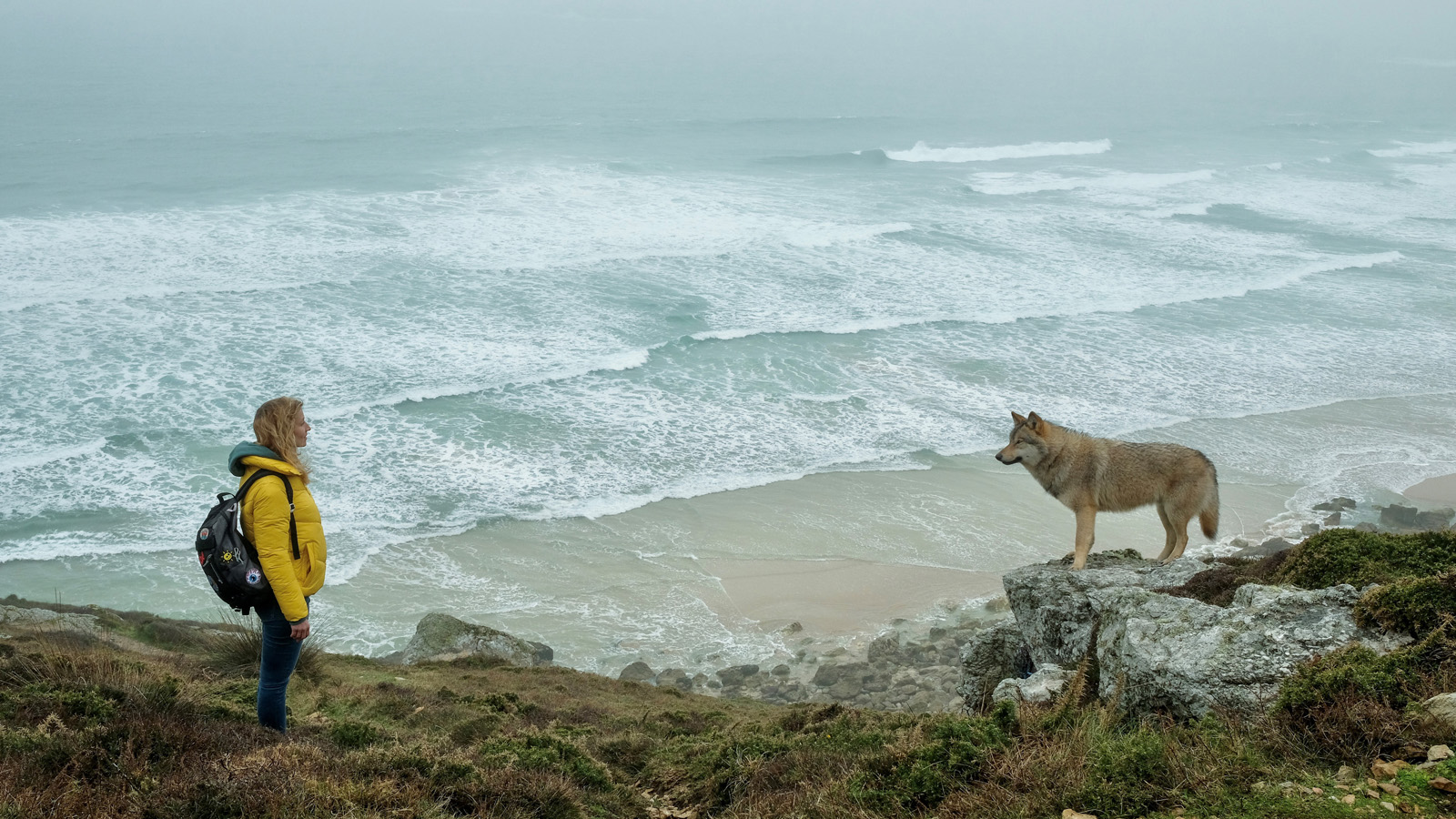 4973289.jpg-r_1920_1080-f_jpg-q_x-xxyxx