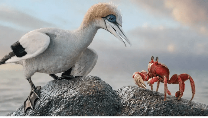 Screenshot 2023-05-22 at 09.34.43.png