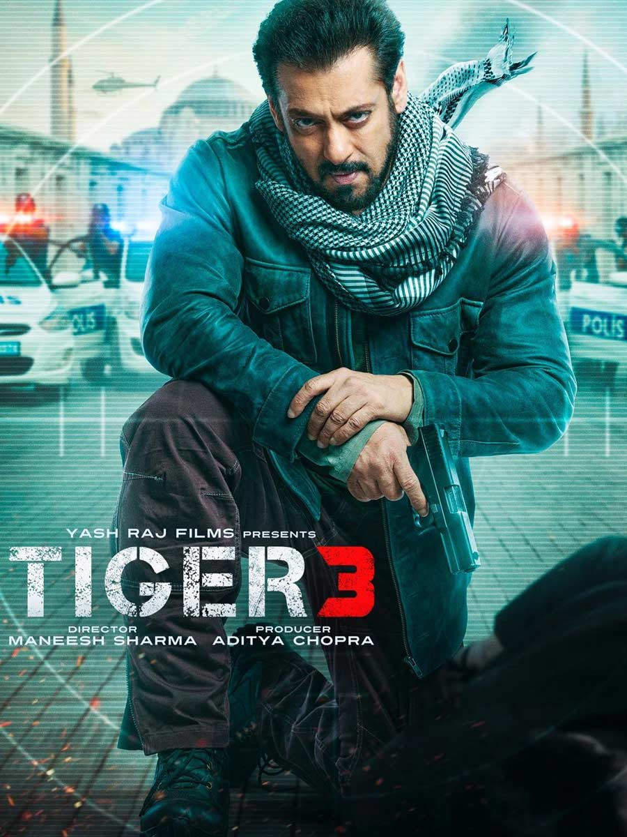 tiger-3-salman-khan-11697016493