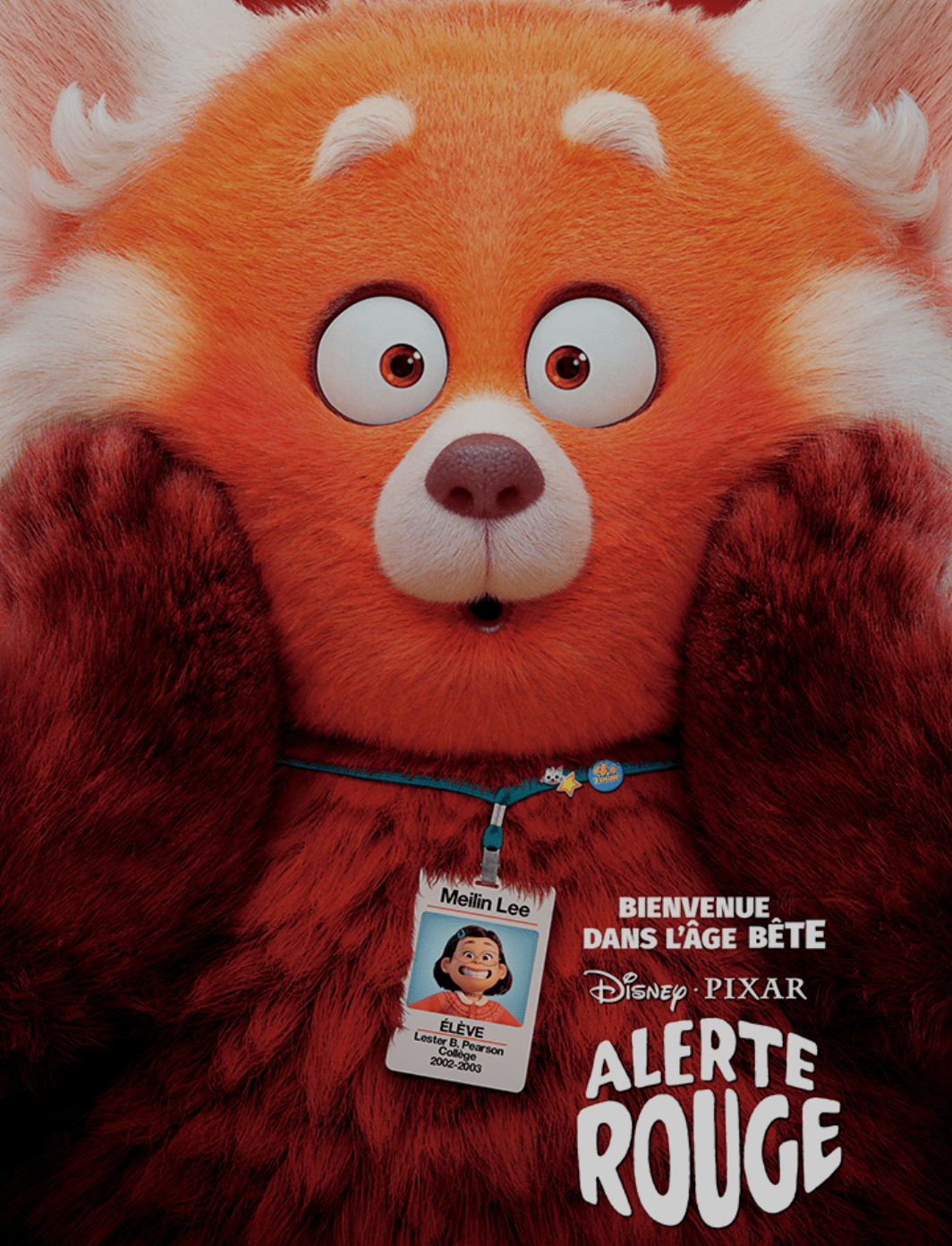 Screenshot 2024-03-25 at 09.01.25