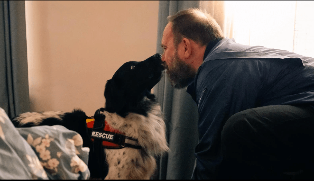 Screenshot 2024-05-13 at 08.42.19