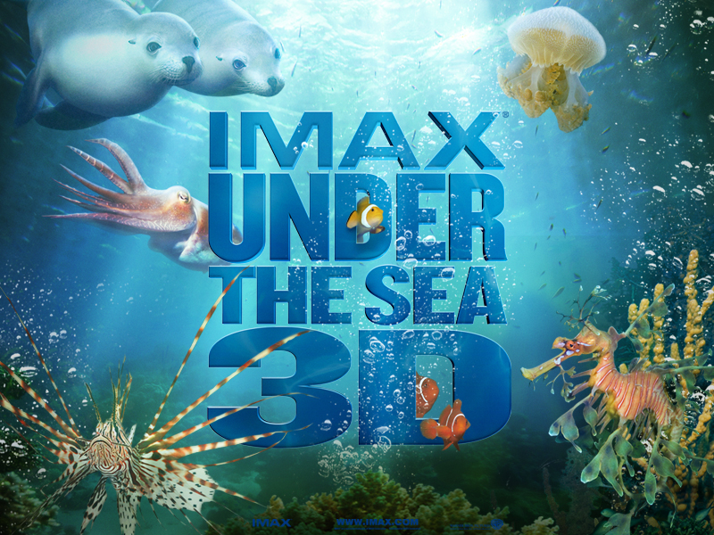 3429765169_2291cda9c5_c