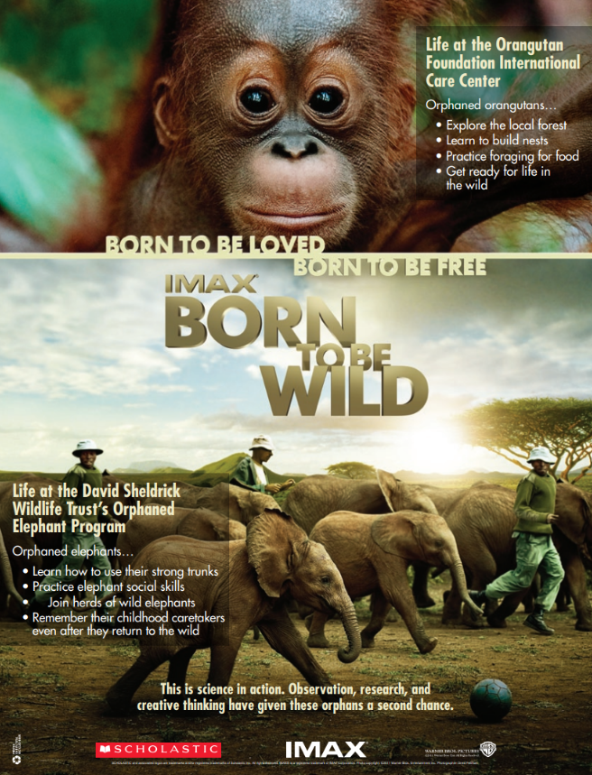 Born-to-be-Wild-Educators-Guide-Cover