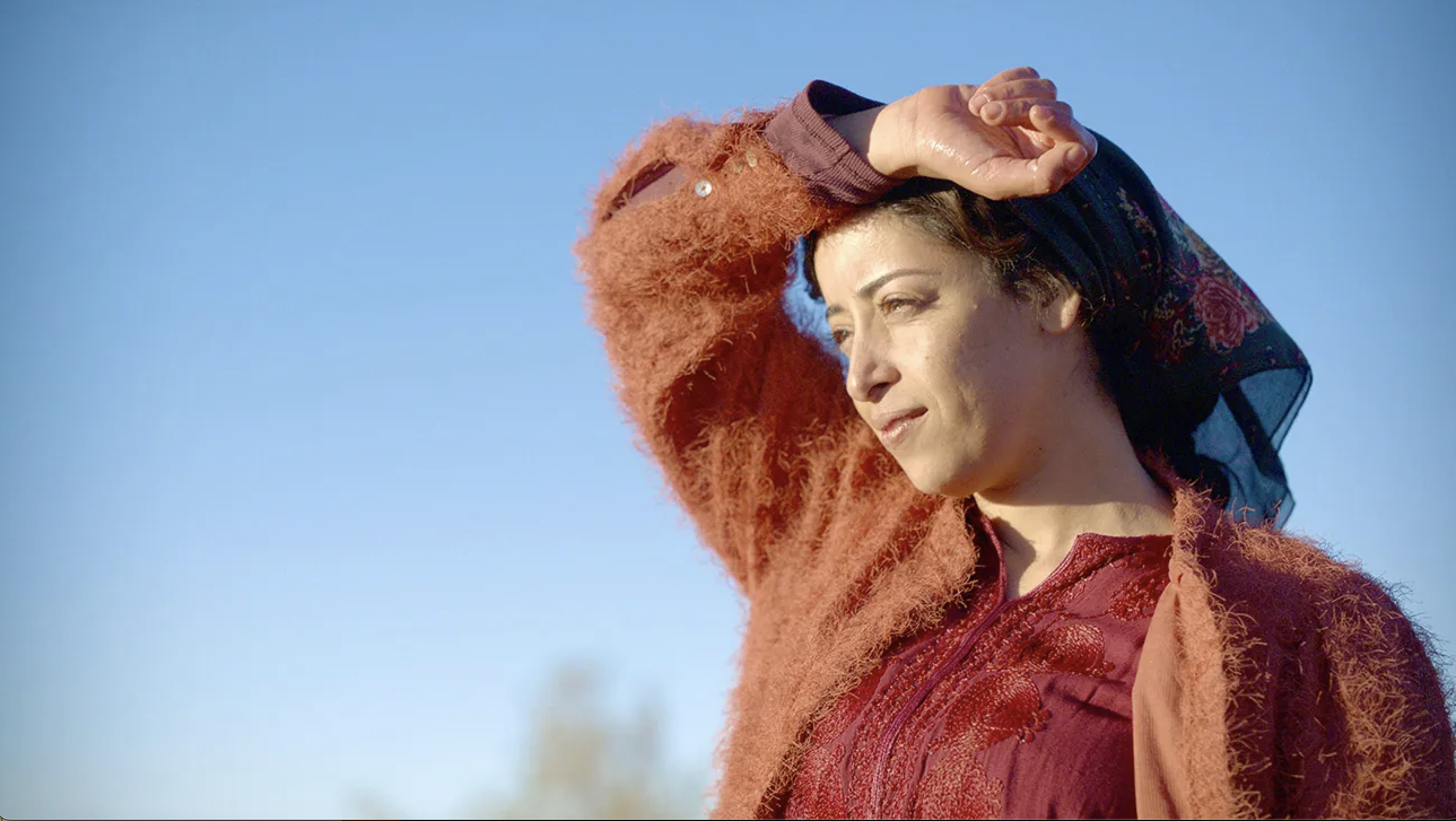 Screenshot 2024-12-16 at 08.19.35