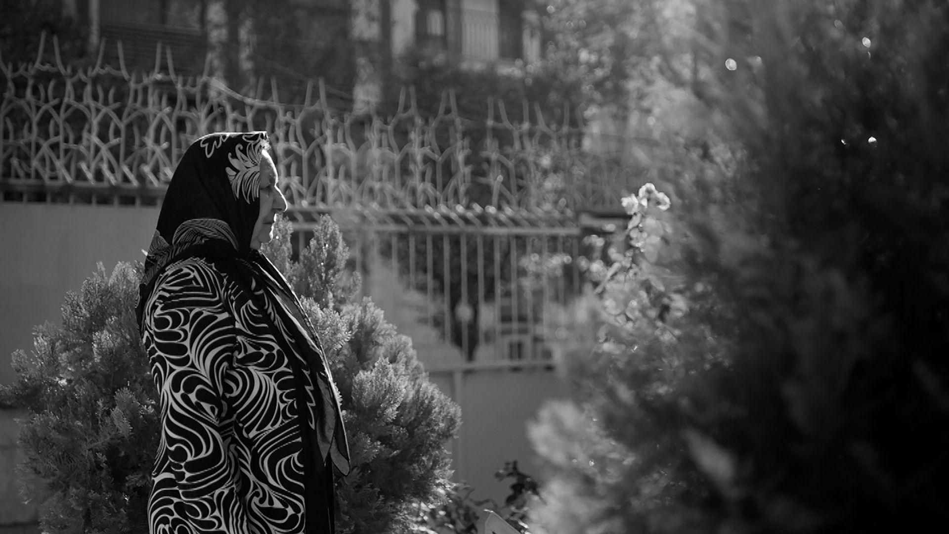 F_3_Higher_Than_Acidic_Clouds_d5ea538881_big_16_9