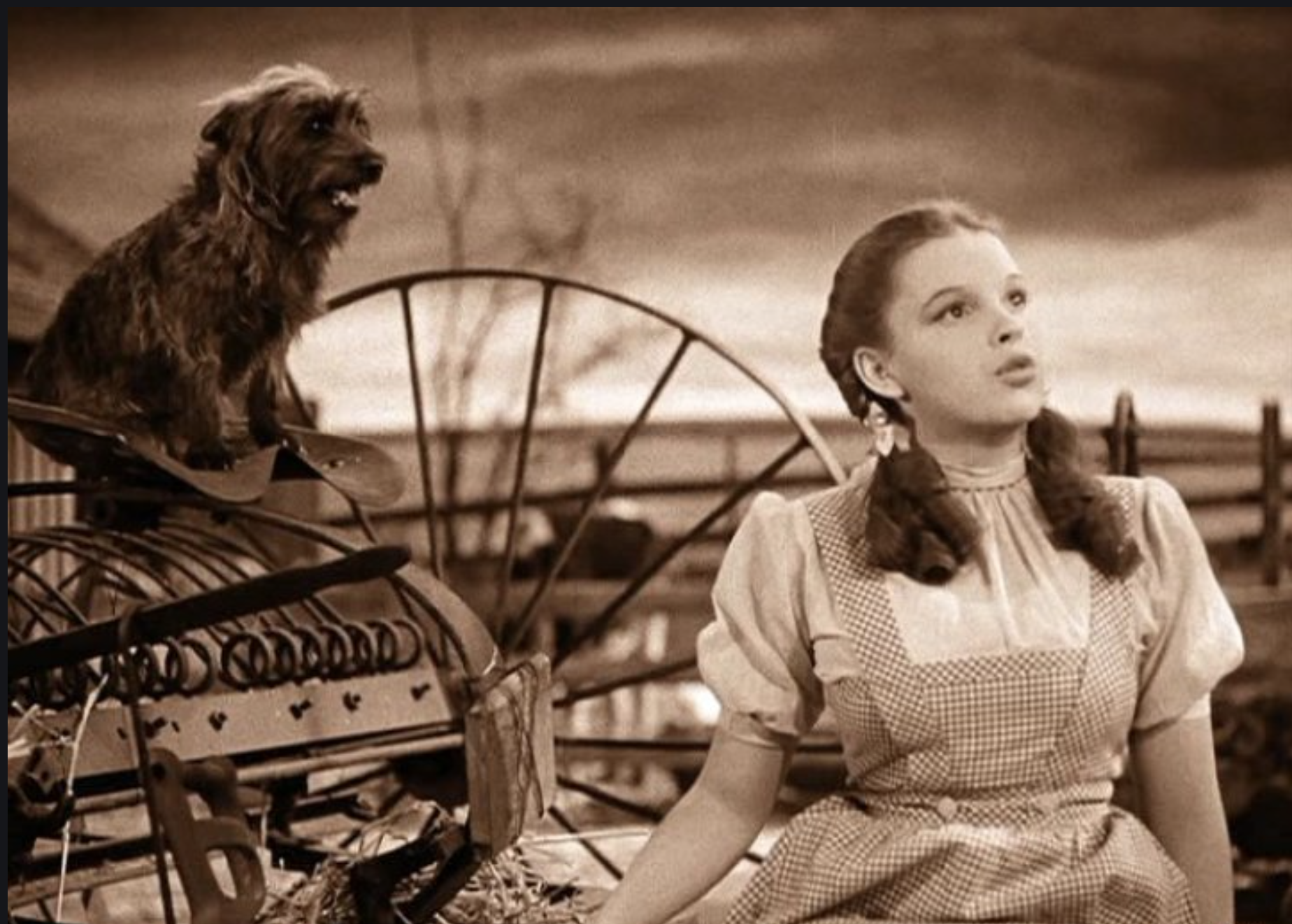 Screenshot 2026-01-12 at 08.40.49