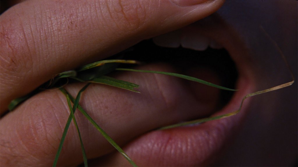 Hurlevent et Park&nbsp;Chan-wook