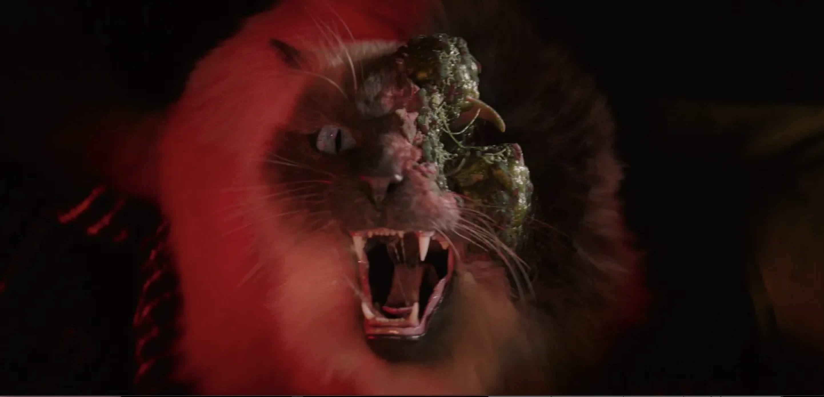 Screenshot 2026-02-16 at 08.39.06